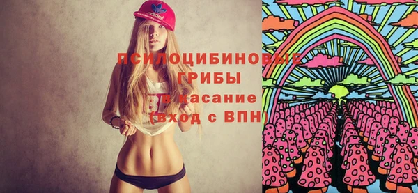 2c-b Белокуриха