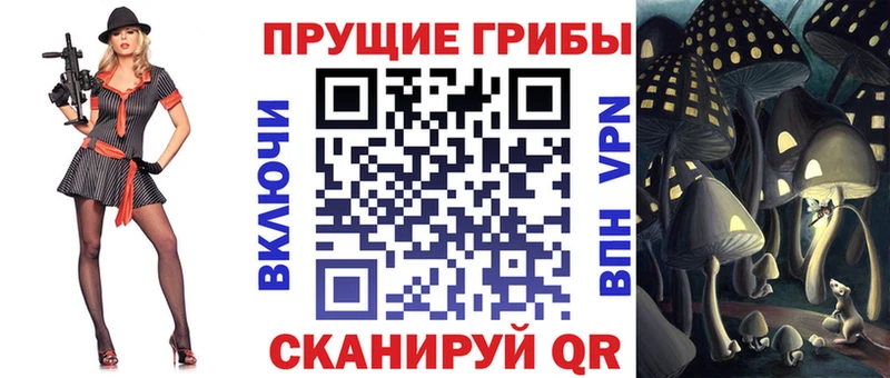 площадка формула  Кодинск  Псилоцибиновые грибы мицелий 